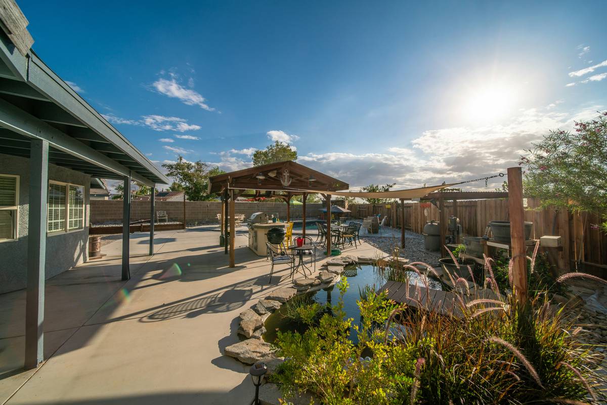 ideas for raised ponds featuring a cedar-framed elevated pond with lilies and a small fountain