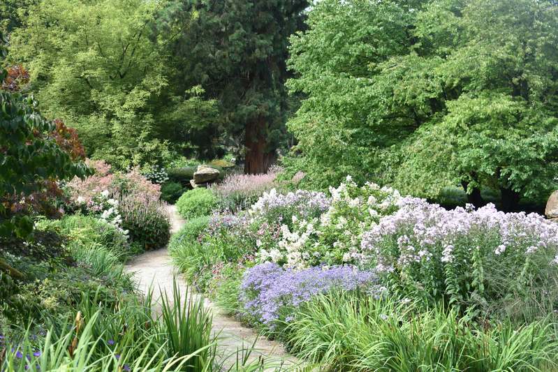 Garden pond surrounded by hostas, ferns, and smooth stones with a small waterfall feature