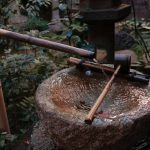 Ideas for Raised Ponds: 7 Proven Tips to Avoid Costly Mistakes